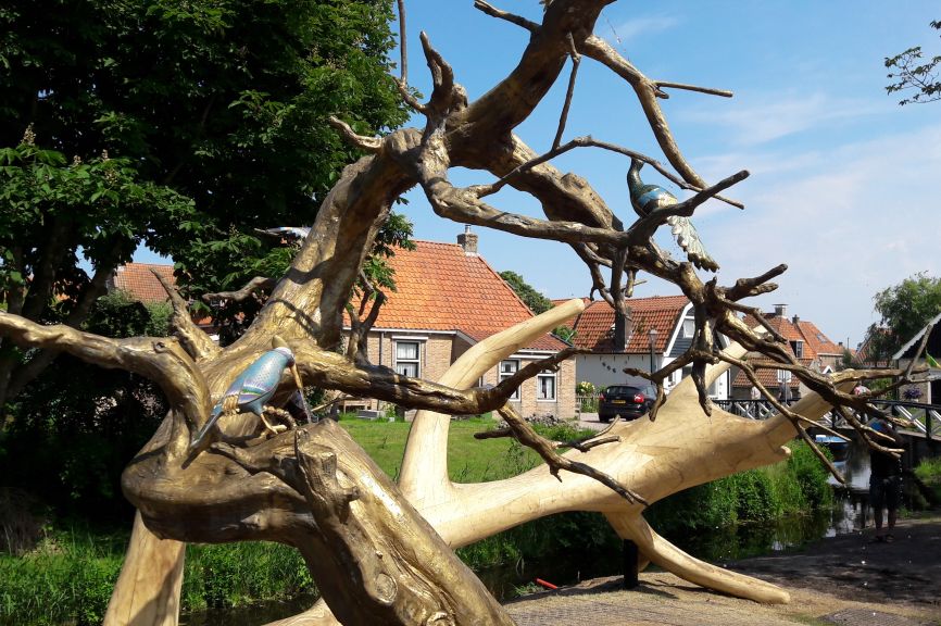 11fountains - Hindeloopen - Flora en Fauna